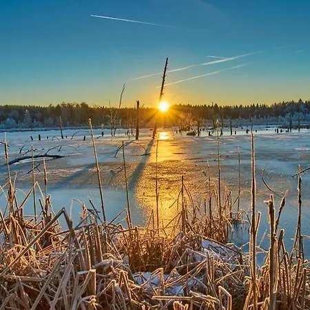 公寓 My Europaallee 26 菲林根-施文宁根